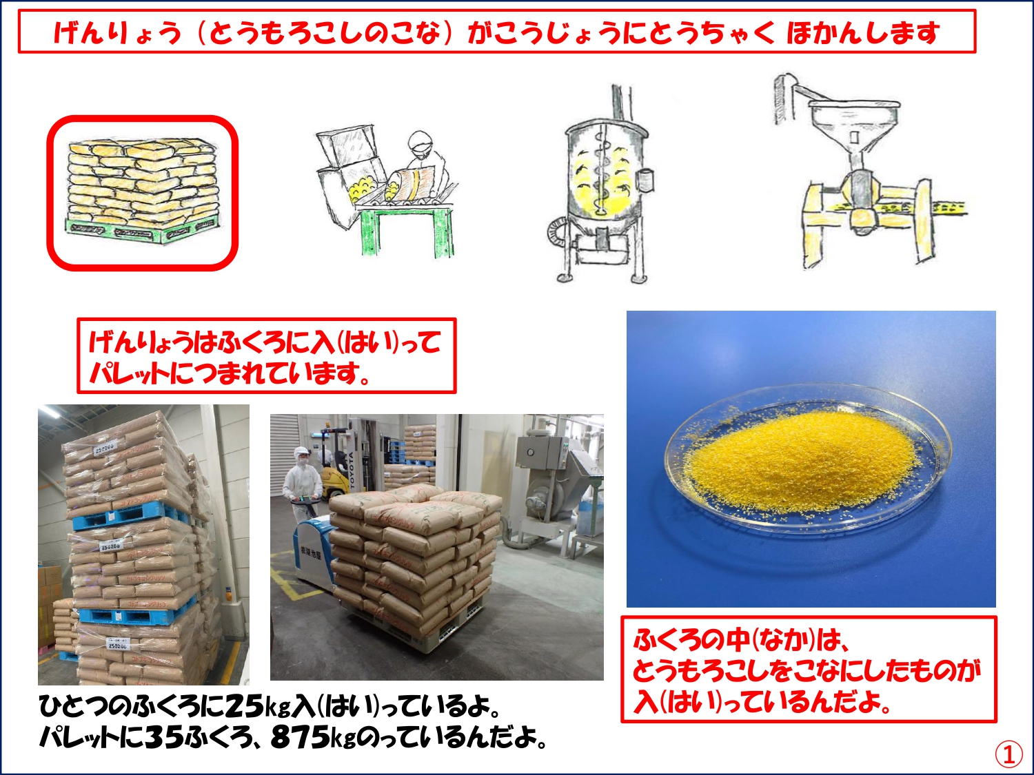 SC製造工程2.jpg