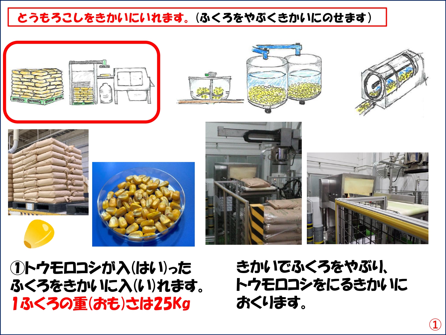 DT製造工程2.jpg