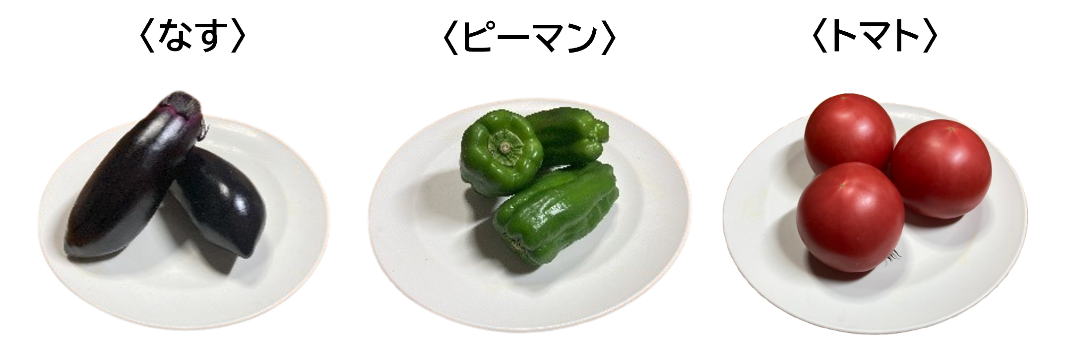 芋の仲間.png